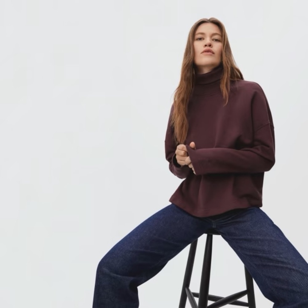 Everlane NWT The Turtleneck Sweatshirt High Neck Boxy Long Sleeve Chocolate XS